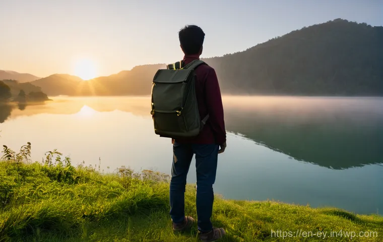 용서 심리학의 접근법 성공 사례 연구 - **Prompt:** A person, gender-neutral, stands on a serene, verdant hill at sunrise, overlooking a cal...